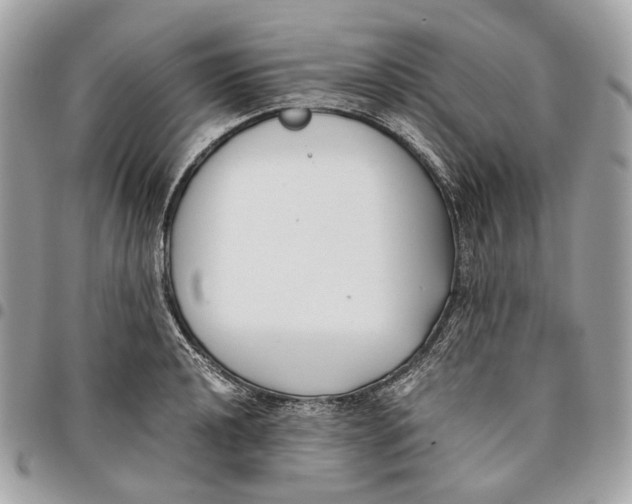 X0000096161040200802081429