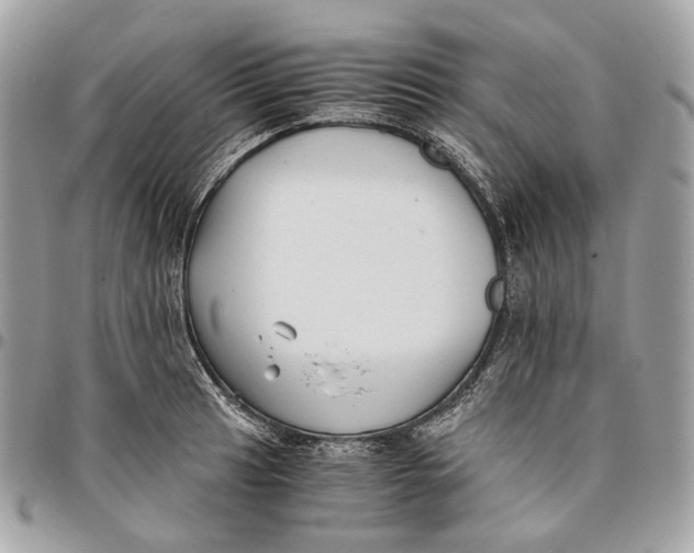 X0000096161041200802081429