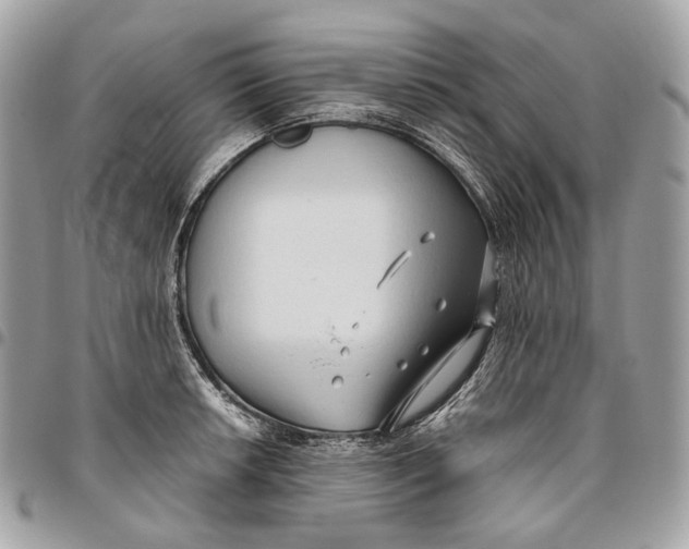 X0000096161042200802081429