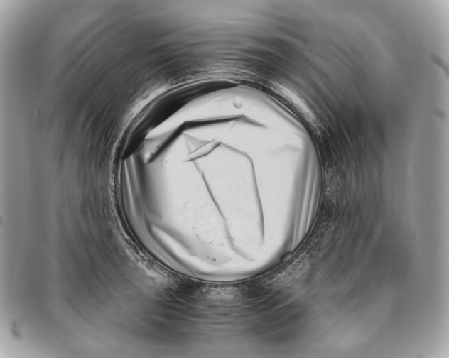 X0000096161043200802081429