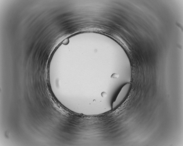 X0000096161044200802081430