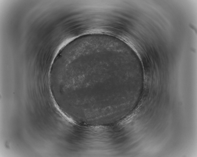 X0000096161045200802081430