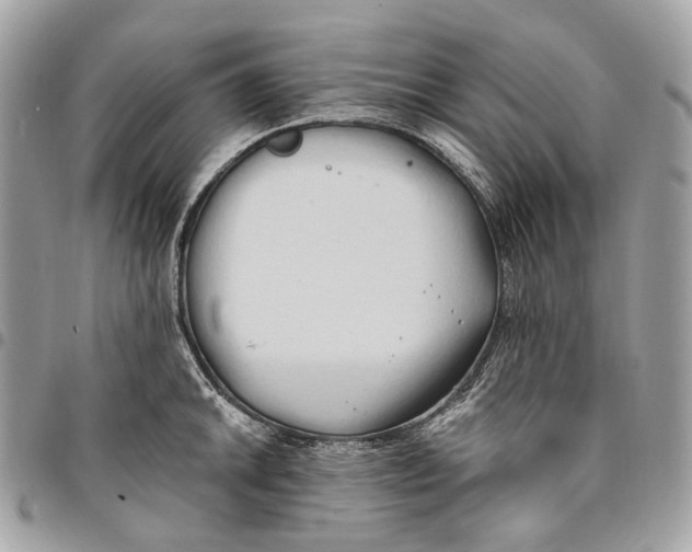 X0000096161046200802081430