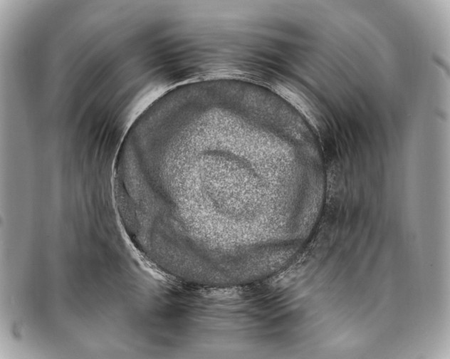 X0000096161047200802081430