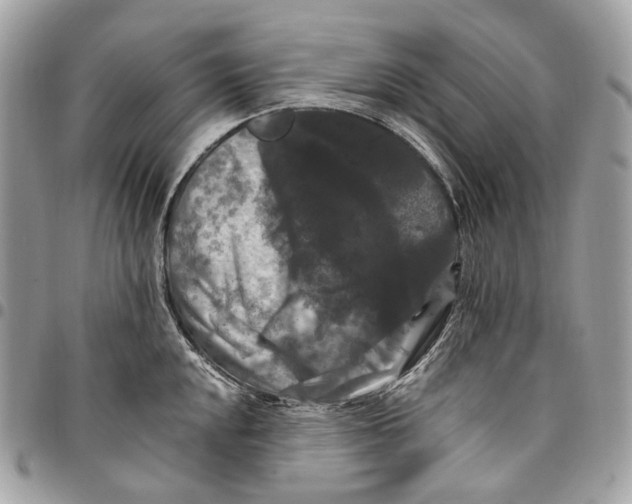 X0000096161048200802081430