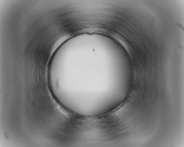 X0000096161050200802081430