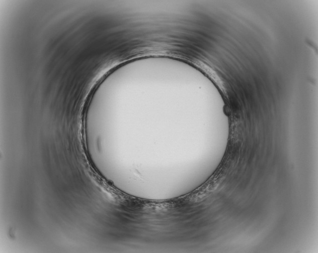 X0000096161051200802081430