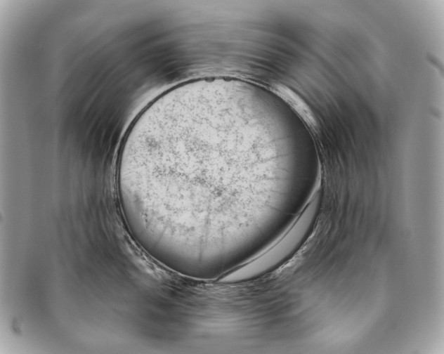 X0000096161052200802081430