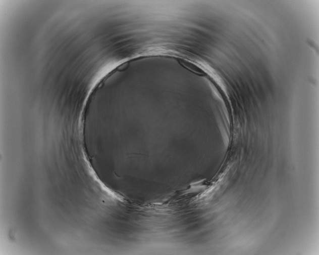 X0000096161053200802081430