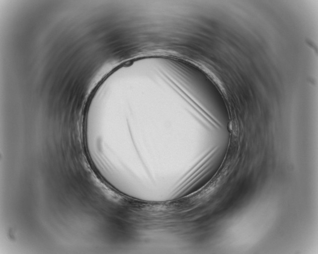 X0000096161054200802081430