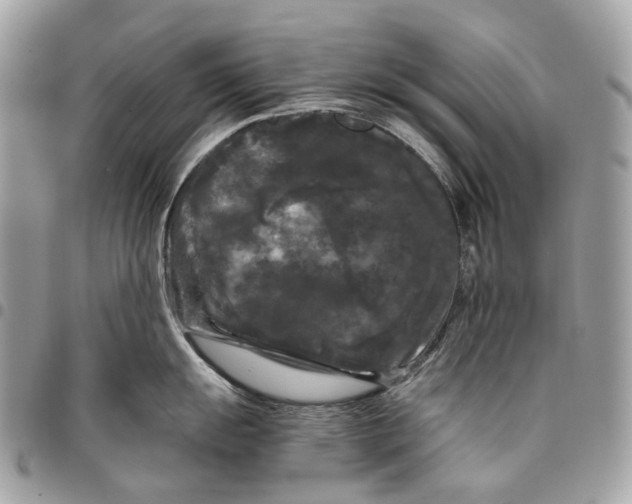 X0000096161055200802081430