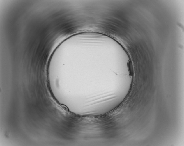 X0000096161056200802081430