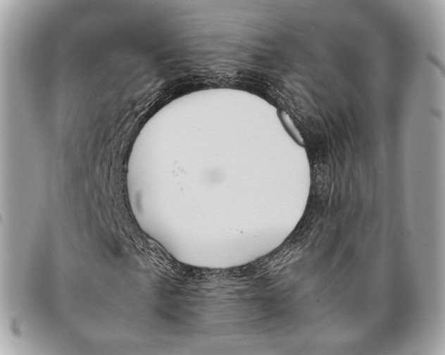 X0000096161057200802081429