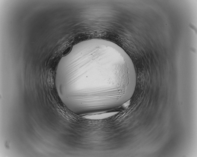 X0000096161058200802081429