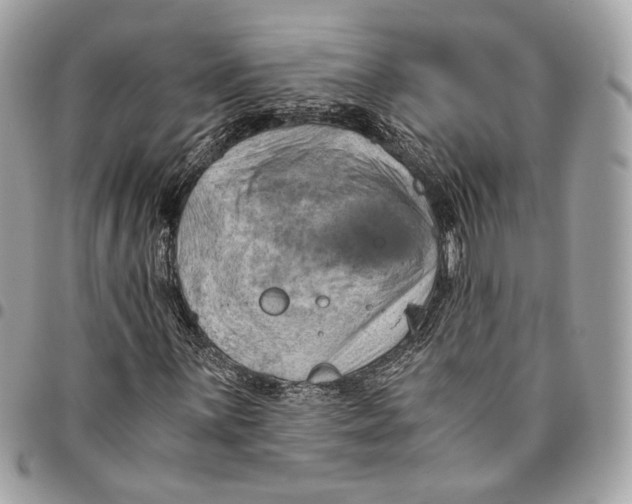 X0000096161059200802081429