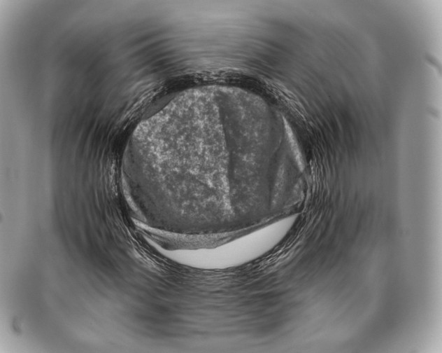 X0000096161060200802081429