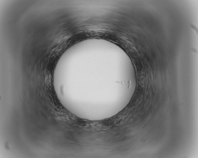 X0000096161061200802081429