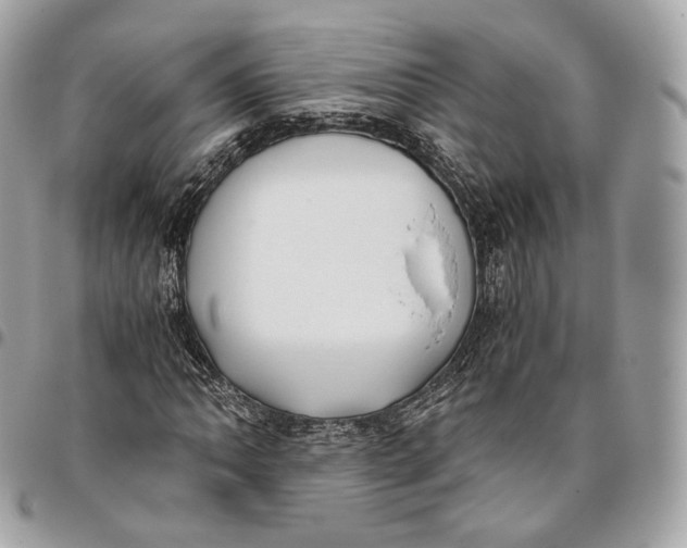 X0000096161062200802081429