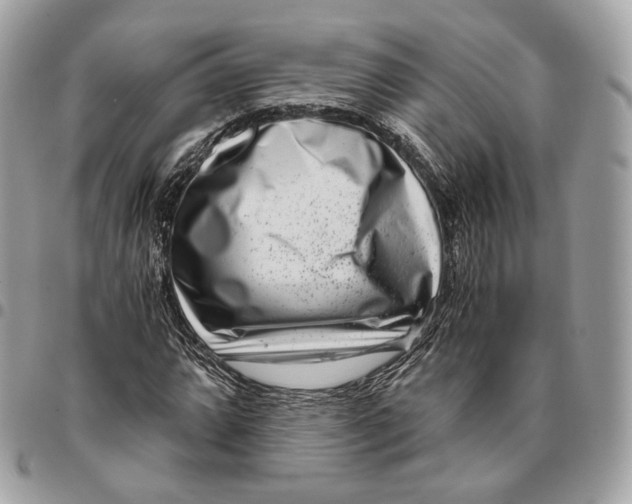 X0000096161064200802081429