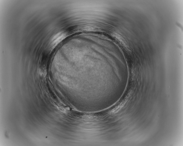 X0000096161065200802081429