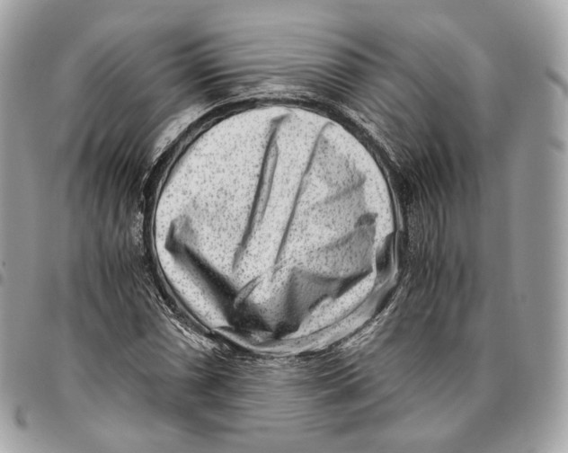 X0000096161066200802081429