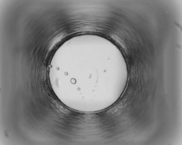 X0000096161067200802081429