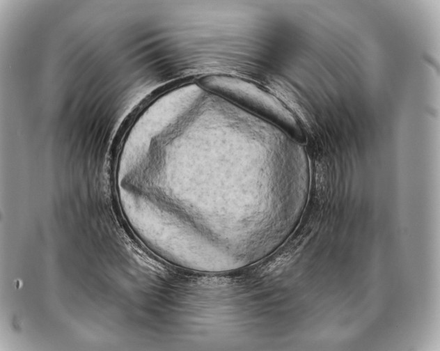 X0000096161068200802081429