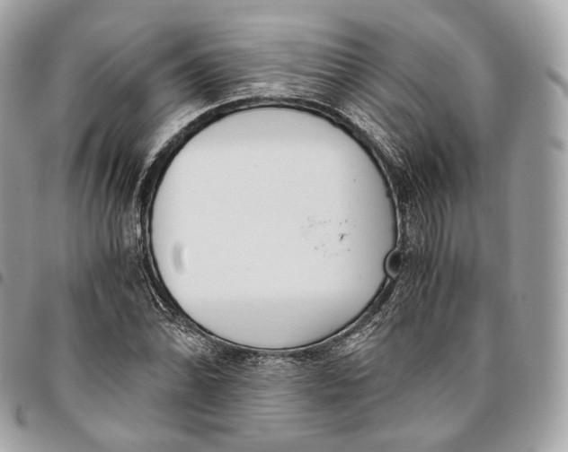 X0000096161070200802081429