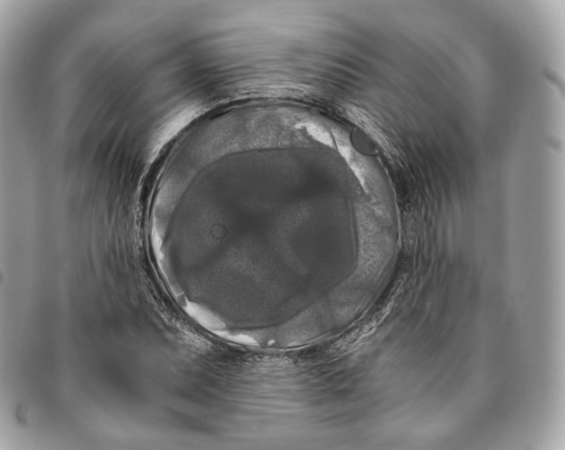 X0000096161071200802081429