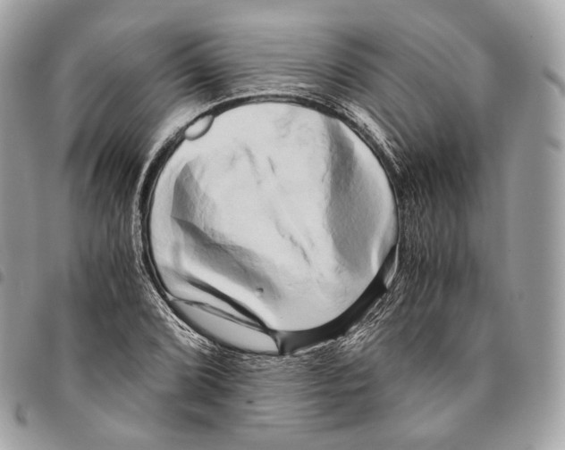 X0000096161072200802081429