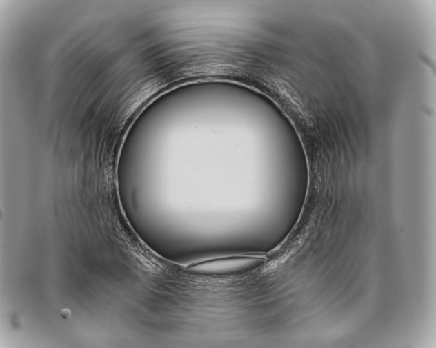 X0000096161073200802081429