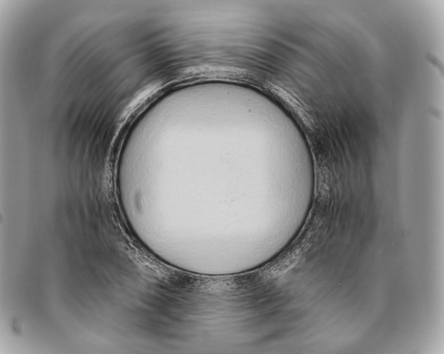 X0000096161074200802081429