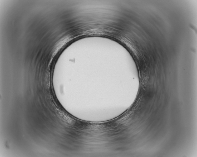 X0000096161075200802081429