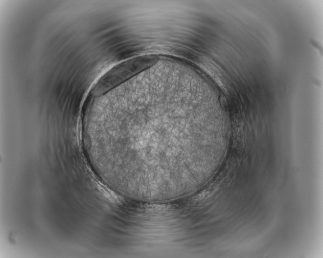 X0000096161076200802081429