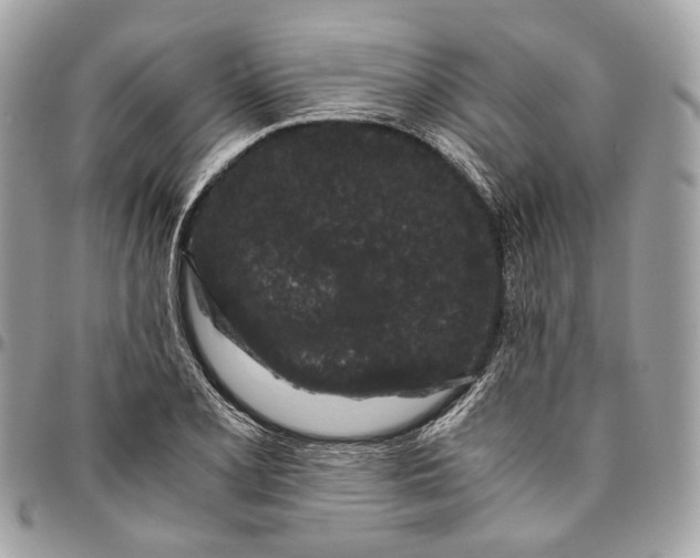 X0000096161077200802081429