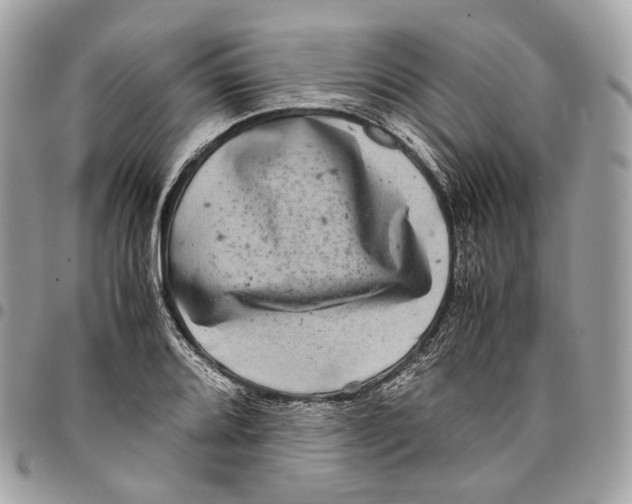 X0000096161080200802081429