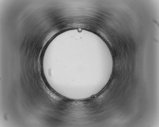 X0000096161082200802081429