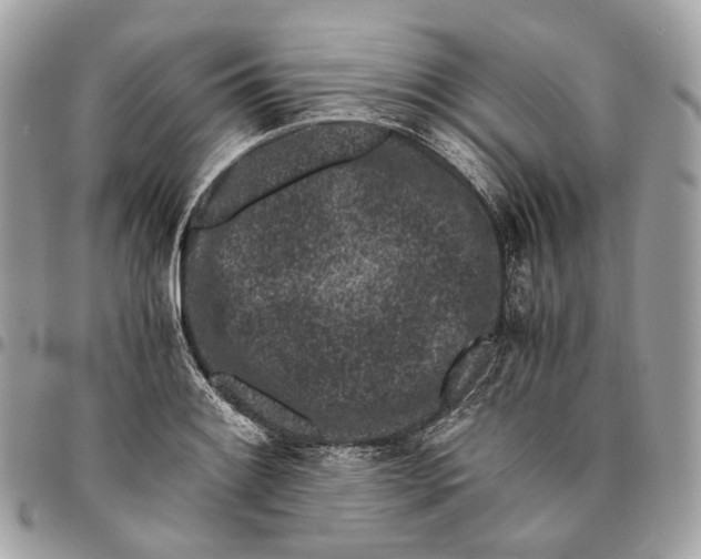 X0000096161084200802081429