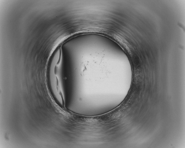 X0000096161085200802081429