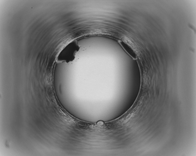 X0000096161089200802081429