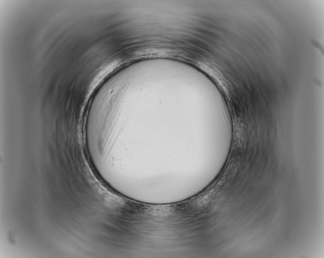 X0000096161090200802081429