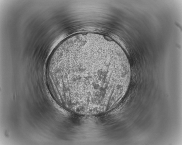 X0000096161091200802081429