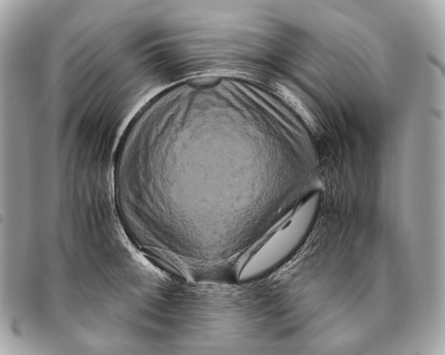 X0000096161092200802081429