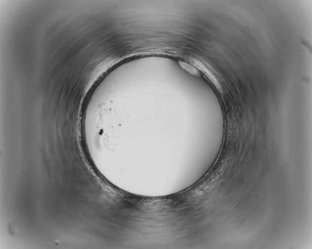 X0000096161093200802081429