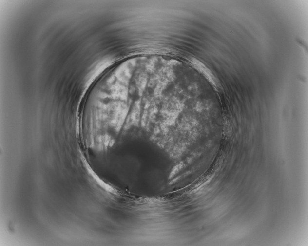 X0000096161095200802081428