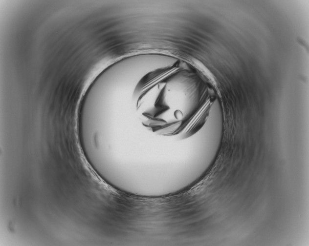 X0000096161096200802081428