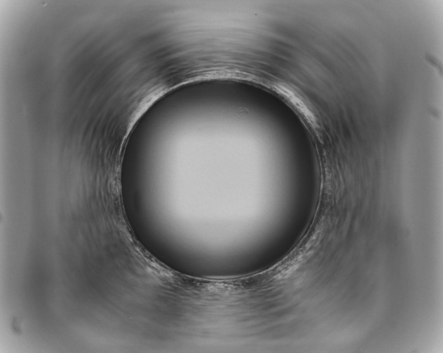 X0000096161097200802081428