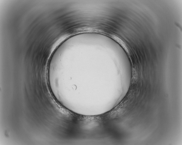 X0000096161098200802081428