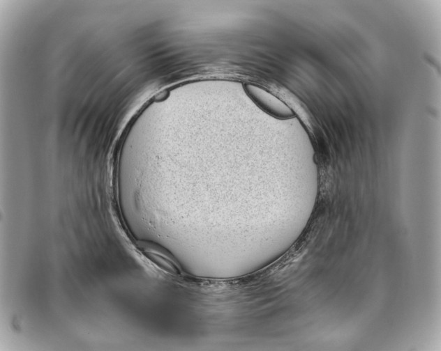 X0000096161099200802081428