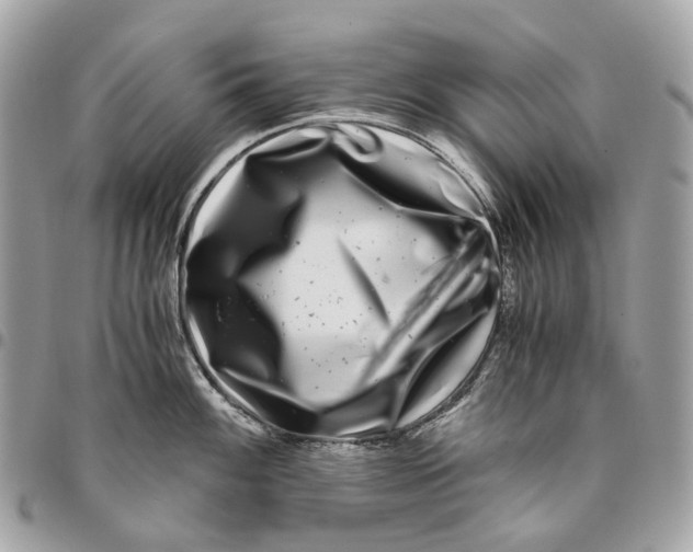 X0000096161100200802081428